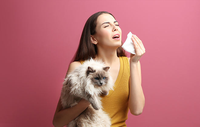 Аллергия на домашних животных: как проявляется и чем лечить у детей и взрослых