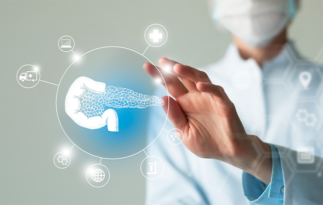 Что такое пищеварительные ферменты?