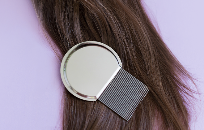 Вши в школе: как выявить педикулез, что делать и чем лечить