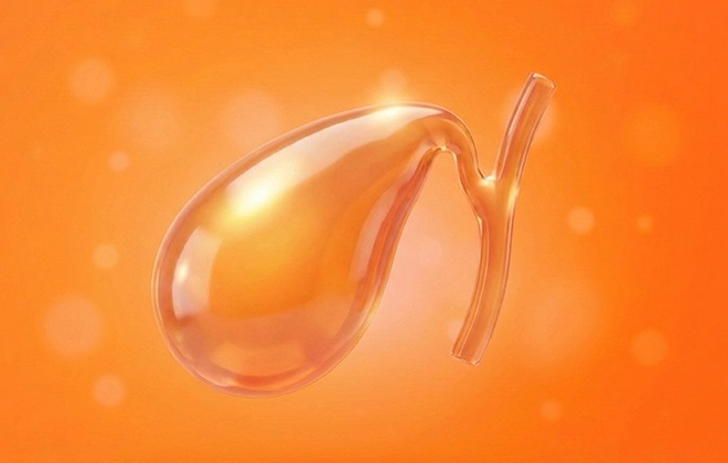 Желчнокаменная болезнь: симптомы и профилактика образования камней в желчном пузыре