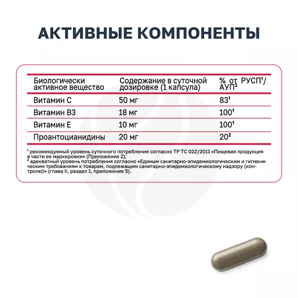 VitaScience Мультивитамины Здоровье сосудов и капилляров Капсулы, №30 ...