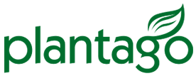 Plantago