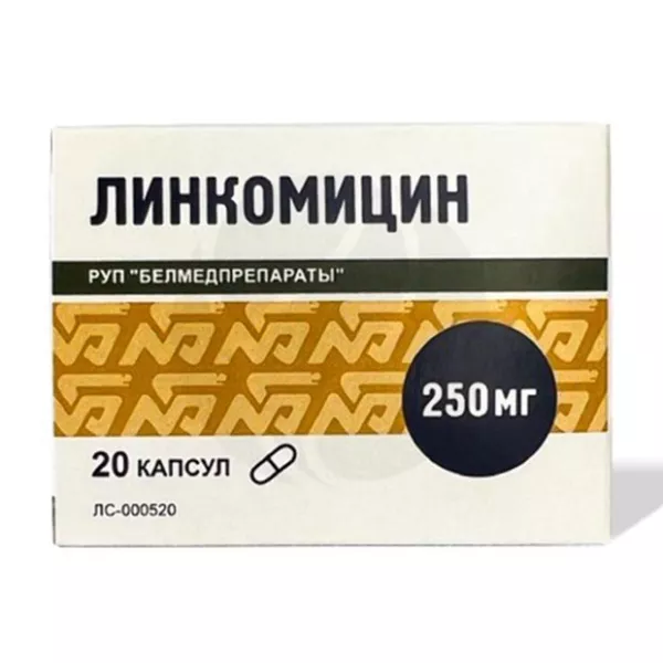 Изображение товара Лекарственные капсулы Линкомицин 250 мг (Белмедпрепараты Руп) 20 шт Изображение товара Лекарственные капсулы Линкомицин 250 мг (Белмедпрепараты Руп) 20 шт