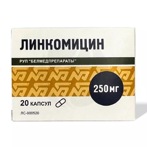 Изображение товара Лекарственные капсулы Линкомицин 250 мг (Белмедпрепараты Руп) 20 шт Изображение товара Лекарственные капсулы Линкомицин 250 мг (Белмедпрепараты Руп) 20 шт