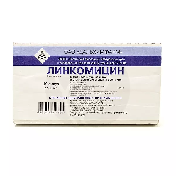 Изображение товара Линкомицин раствор 300 мг/мл для инъекций 10 ампул Изображение товара Линкомицин раствор 300 мг/мл для инъекций 10 ампул
