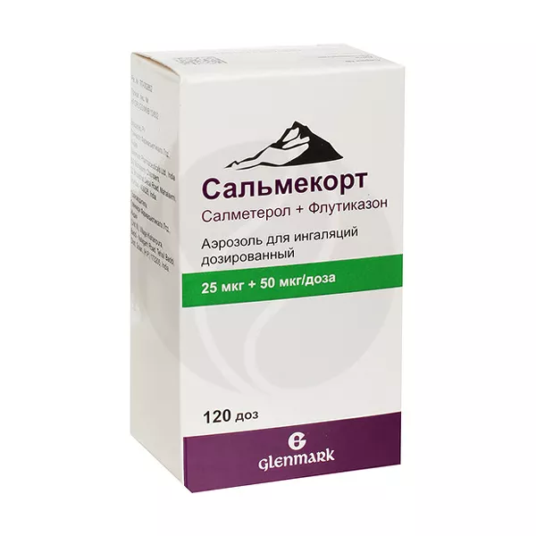 Изображение товара Сальмекорт аэроз. д/ингал. доз. 25мкг+50мкг/доза, 120доз Изображение товара Сальмекорт аэроз. д/ингал. доз. 25мкг+50мкг/доза, 120доз