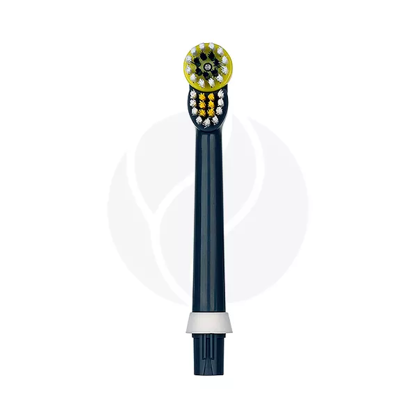 Изображение товара CS Medica RP-66-M насадка для модели электрической зубной щетки CS-466-M Изображение товара CS Medica RP-66-M насадка для модели электрической зубной щетки CS-466-M