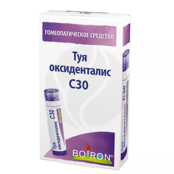 Туя оксиденталис С 30 гранулы д/рассас. гомеопатические, 4г