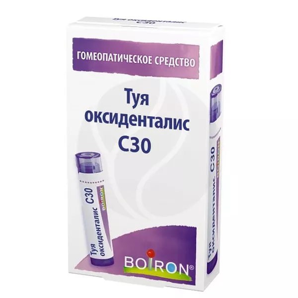 Изображение товара Гомеопатические гранулы Туя оксиденталис С 30 для рассасывания 4г Буарон Франция Изображение товара Гомеопатические гранулы Туя оксиденталис С 30 для рассасывания 4г Буарон Франция