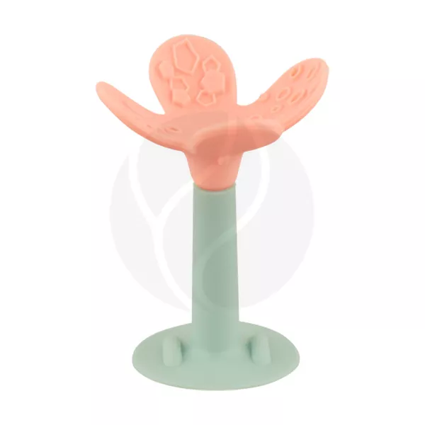Изображение товара Lubby прорезыватель Цветок на ножке (4+мес) Изображение товара Lubby прорезыватель Цветок на ножке (4+мес)