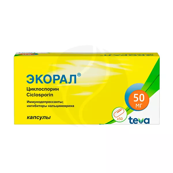 Изображение товара Экорал капсулы 50мг, 50 штук для профилактики отказа трансплантатов и лечения воспалений Изображение товара Экорал капсулы 50мг, 50 штук для профилактики отказа трансплантатов и лечения воспалений
