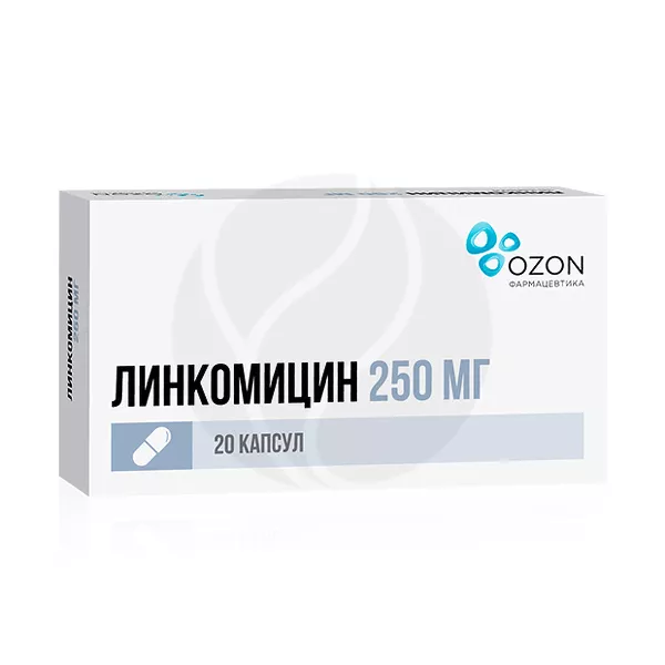 Изображение товара Линкомицин капсулы 250мг, №20 Озон Изображение товара Линкомицин капсулы 250мг, №20 Озон