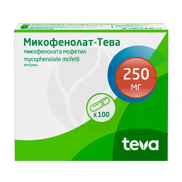 Изображение товара Микофенолат-Тева капсулы 250 мг 100 шт профилактика отторжения трансплантатов Изображение товара Микофенолат-Тева капсулы 250 мг 100 шт профилактика отторжения трансплантатов