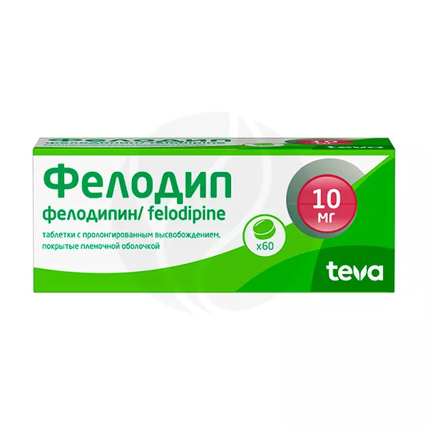 Изображение товара Фелодип таблетки с пролонгированным высвобождением 10мг, 60шт Изображение товара Фелодип таблетки с пролонгированным высвобождением 10мг, 60шт