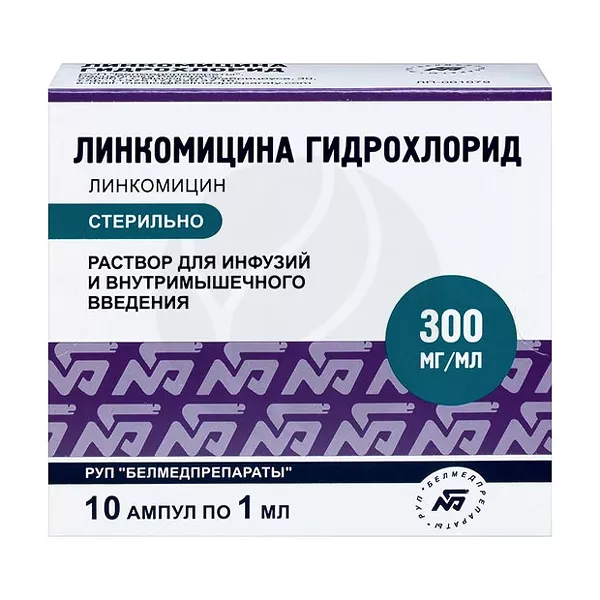Изображение товара Линкомицина гидрохлорид раствор д/инфузий и в/м введ. 300мг/мл, 1мл №10 Изображение товара Линкомицина гидрохлорид раствор д/инфузий и в/м введ. 300мг/мл, 1мл №10
