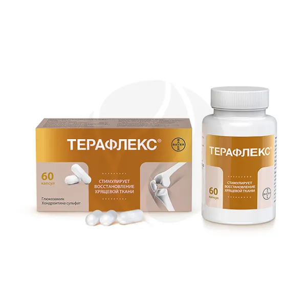 Терафлекс капсулы 500мг+400мг, №60 Макиз фарма