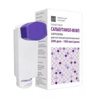 Сальбутамол-МХФП аэроз. д/ингал. доз. 100мкг/доза, 200доз