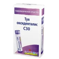 Изображение товара Туя оксиденталис С 30 гранулы д/рассас. гомеопатические, 4г