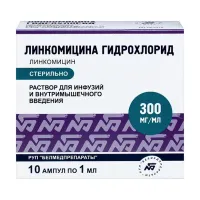 Изображение товара Линкомицина гидрохлорид раствор д/инфузий и в/м введ. 300мг/мл, 1мл №10