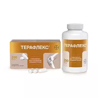 Изображение товара Терафлекс капсулы 500мг+400мг, №200