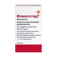 Изображение товара Фликсотид аэроз. д/ингал. доз. 250мкг/доза, 60доз