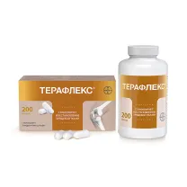 Терафлекс капсулы 500мг+400мг, №200 Контракт Фармакал