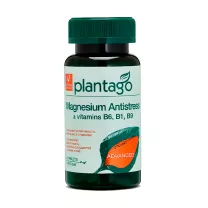 Plantago Магний Антистресс+вит.В6,В1,В9 таблетки, №90