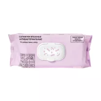 Beside салфетки влажные антибактериальные для гигиены, 25х23 см, №80